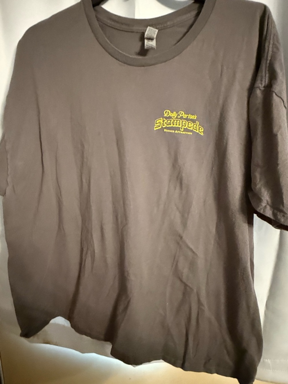 Dolly Parton Stampede Brown Graphic Tee